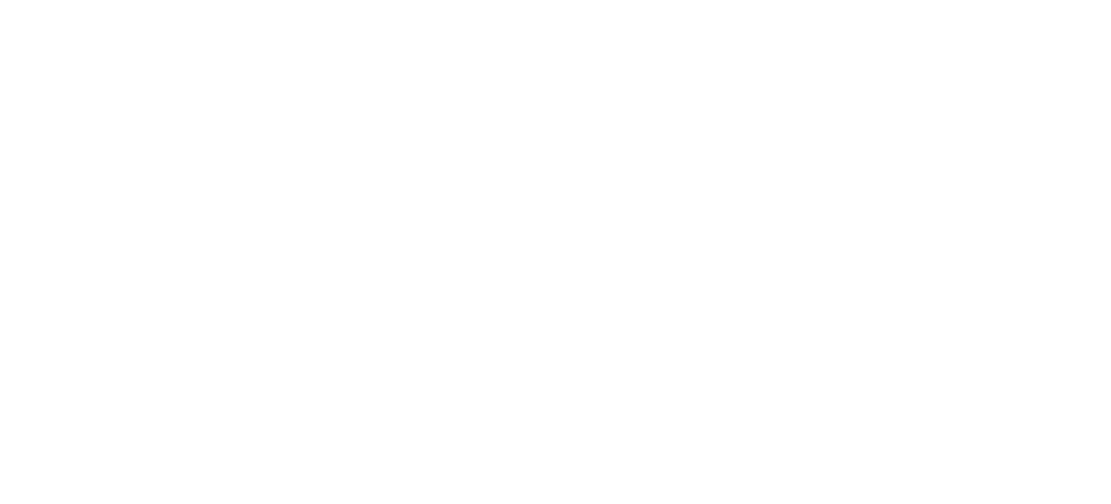 Texas lone star state license plate printed on a women's t-shirt.